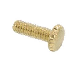 1 Inch Brass Plated Thumbhead Screw
