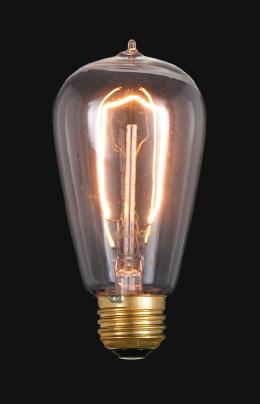 Edison Base Light Bulb with "Hairpin" Filament